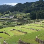 棚田